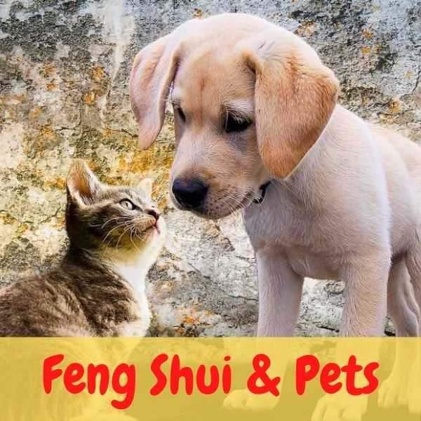 Feng Shui & Pets1