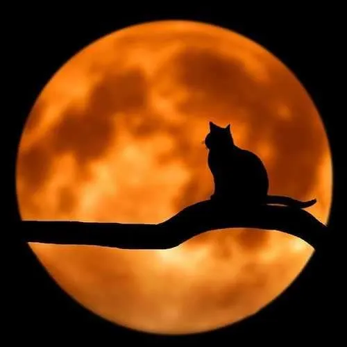Full-Moon-Meditation-Yoga-500x500